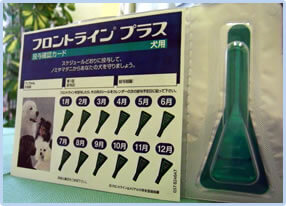 フロントライン写真