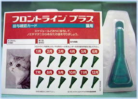 フロントライン写真