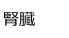 腎臓