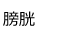 膀胱