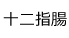 十二指腸