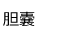 胆嚢