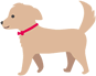 犬のイラスト